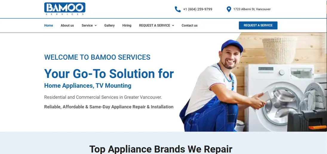 Bamoo Services — project artwork 1
