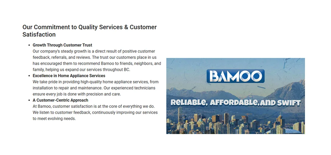 Bamoo Services — project artwork 3