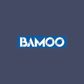Bamoo Services — project artwork 5