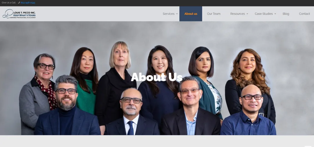 Louis T. Picco Inc — website and campaign presentation