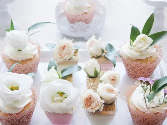 Minus Holdings Group Ltd. (Minus Cake Boutique) — brand presentation