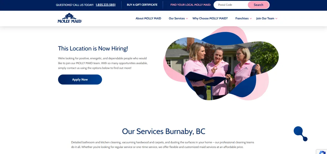 Brite Future Enterprises Crop. (Molly Maid) — website and campaign presentation