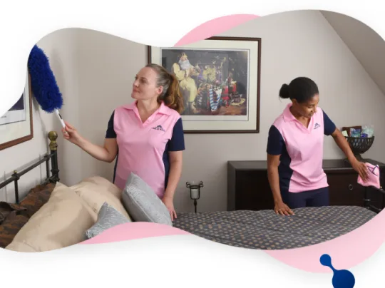 Brite Future Enterprises Crop. (Molly Maid) — brand presentation