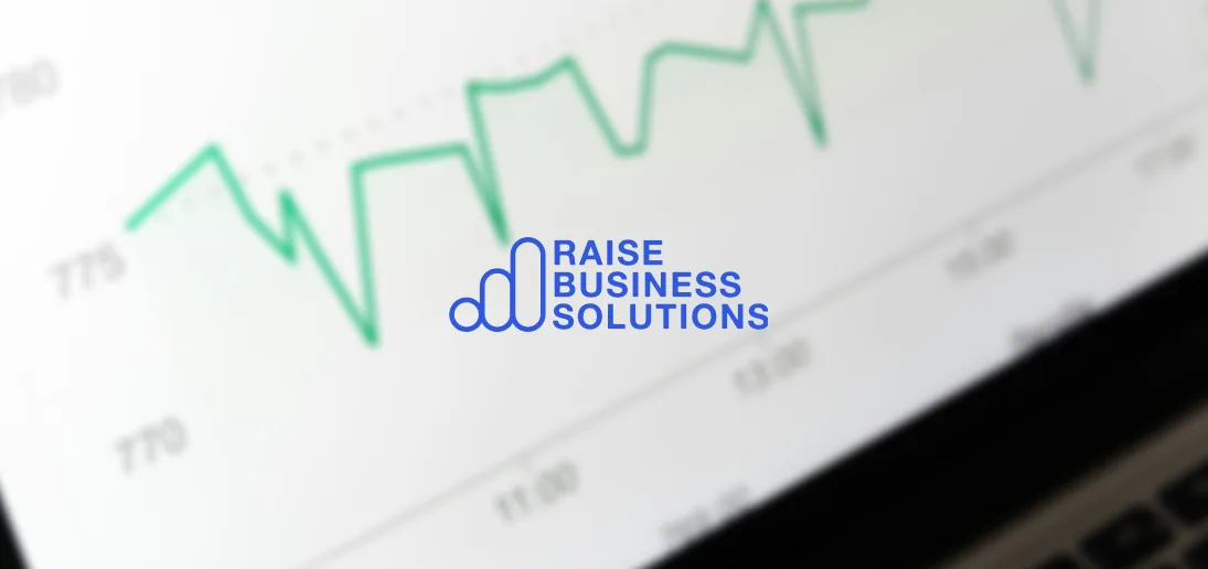 Raise Business Solutions — project presentation