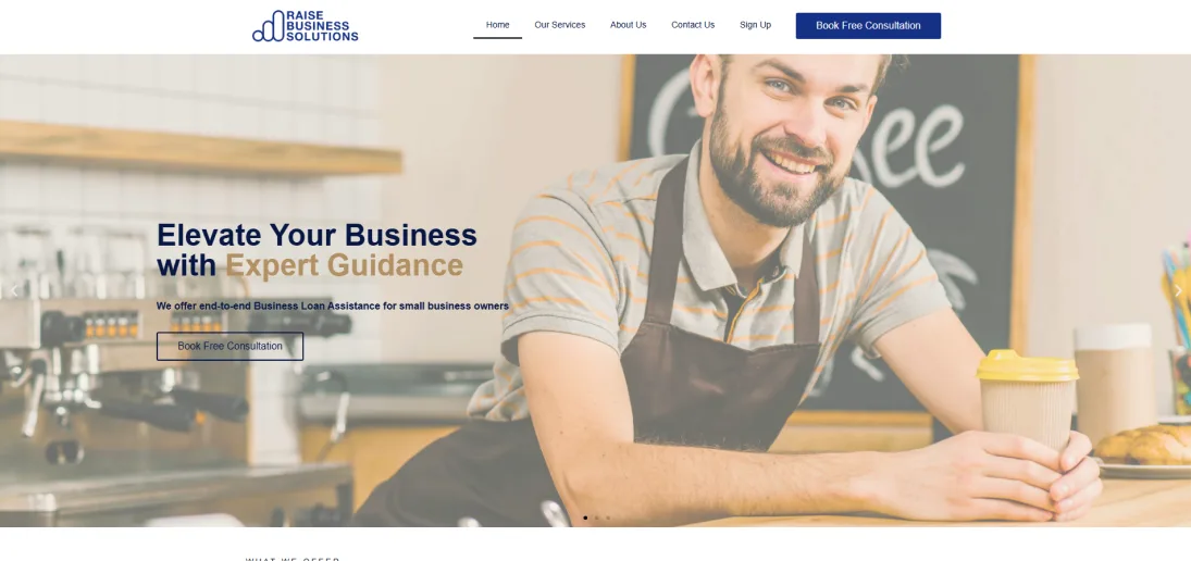 Raise Business Solutions — website and campaign presentation
