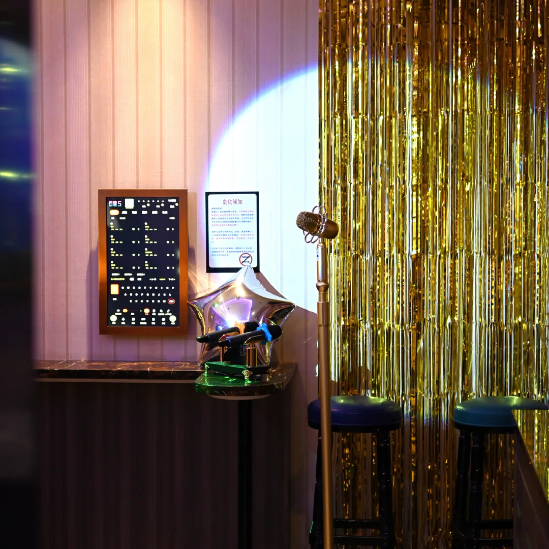 V+ Club Karaoke — project artwork 6